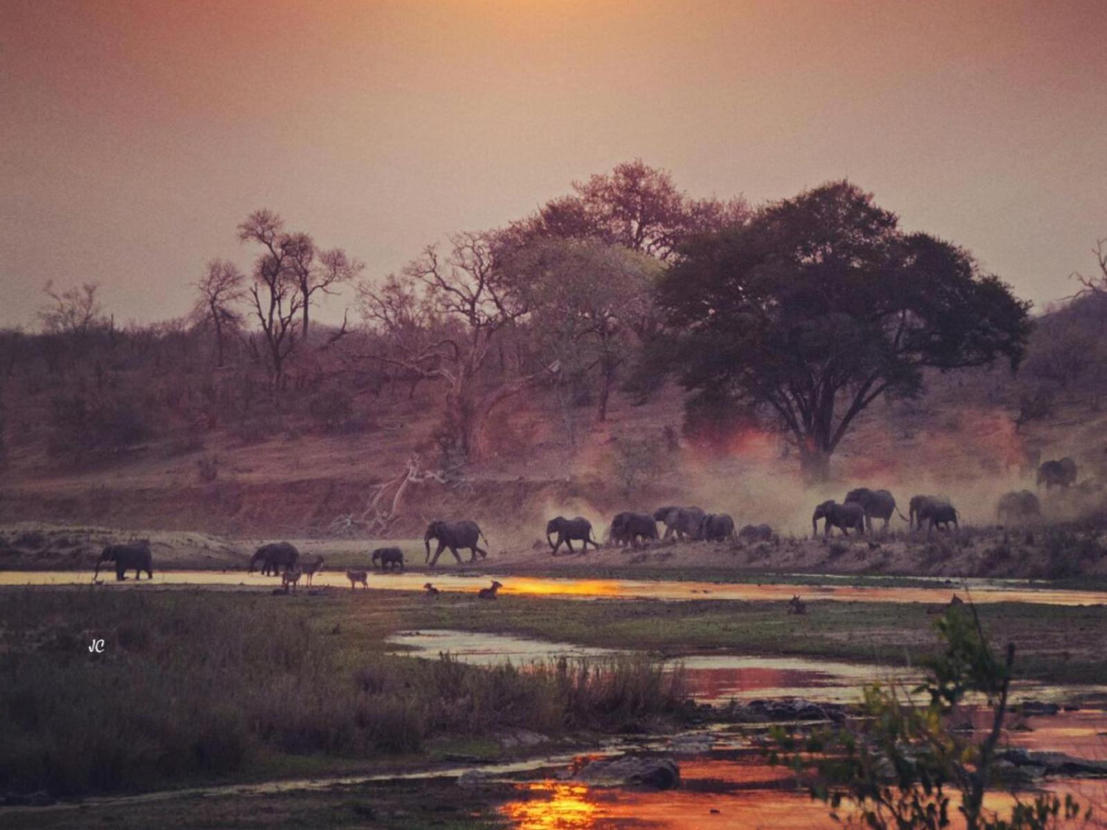 Croc Orvyll'S Kruger Lodge Marloth Park Dış mekan fotoğraf