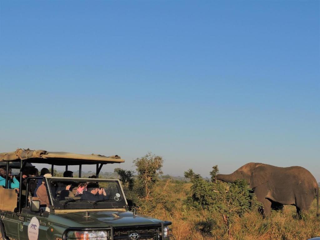 Croc Orvyll'S Kruger Lodge Marloth Park Dış mekan fotoğraf